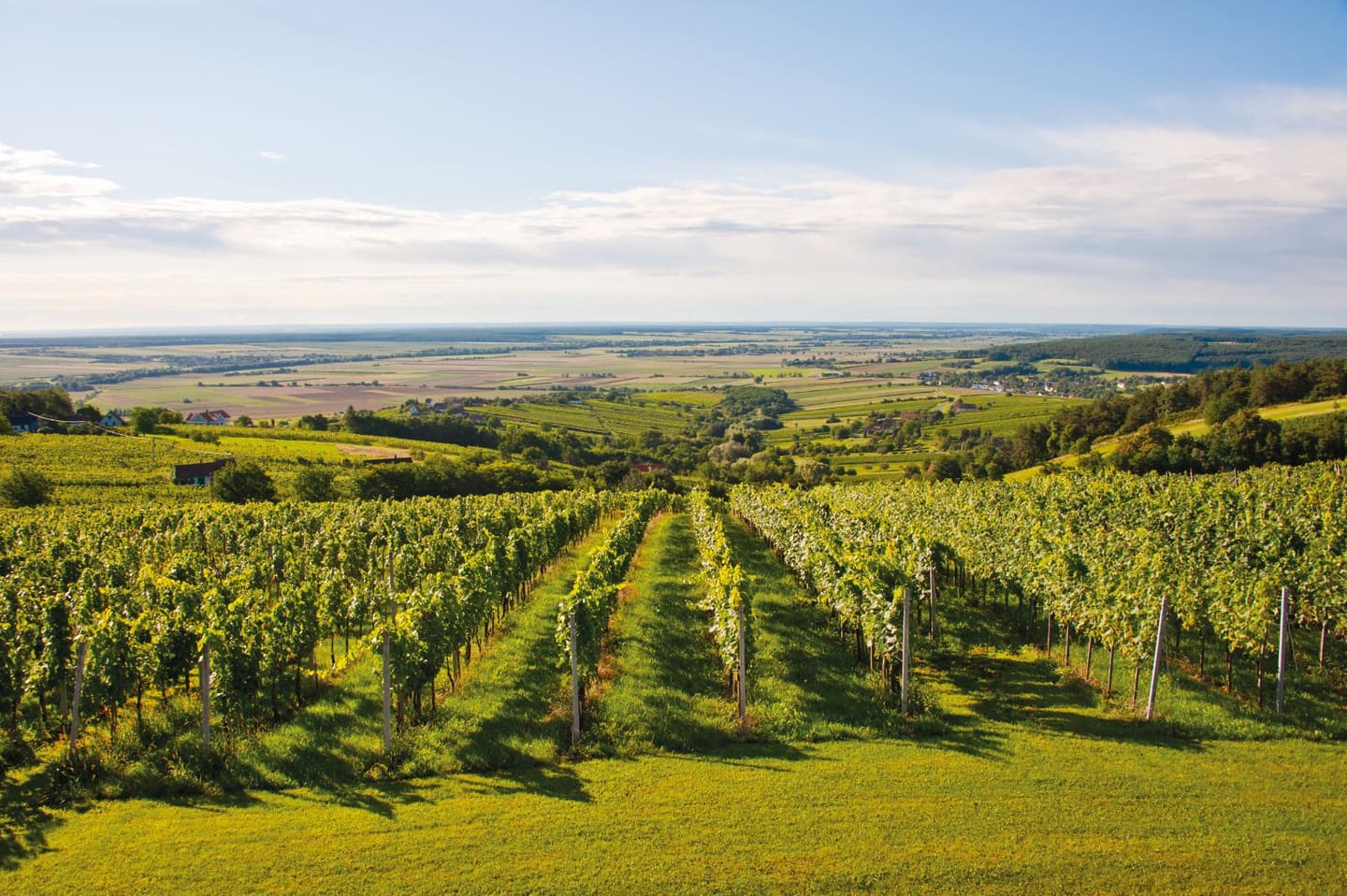 Thema der REISEfieber