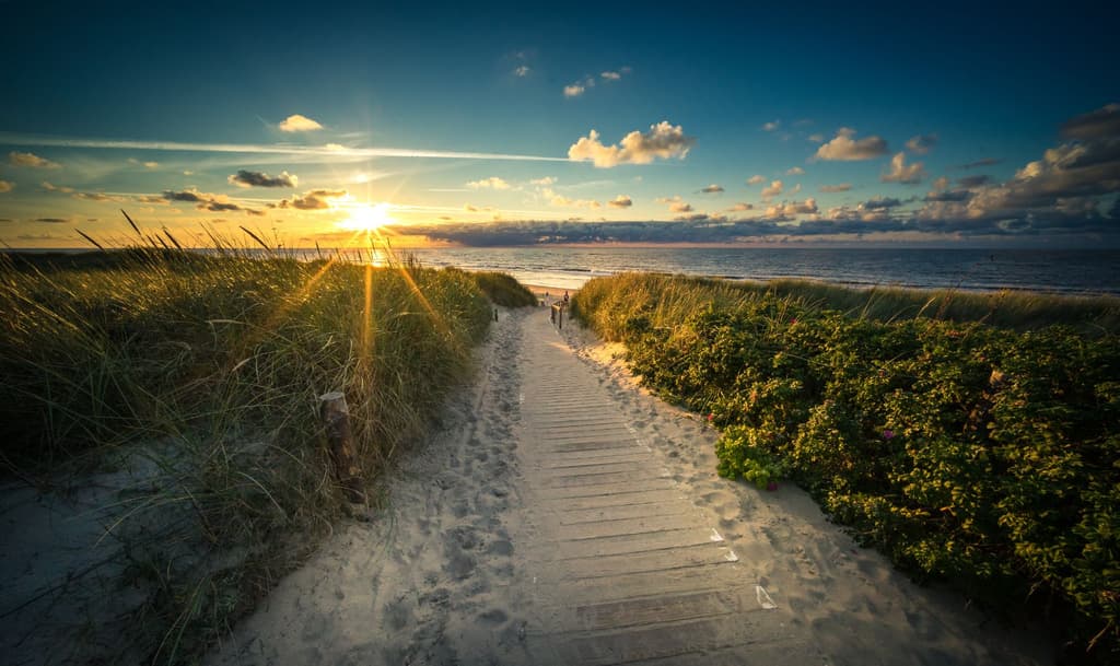 Titelcover REISEfieber